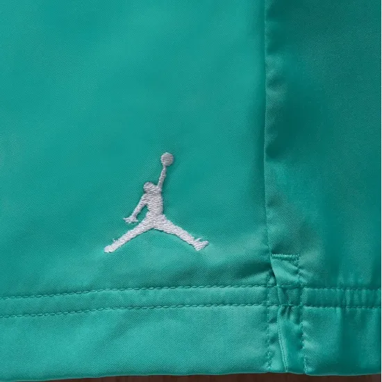 Шорти Nike Air Jordan Poolside 5