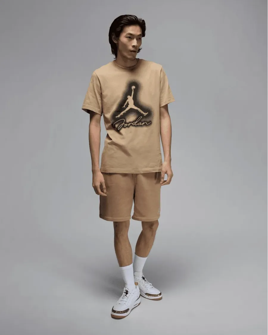 Футболка Nike Air Jordan Flight MVP HJ2330-257