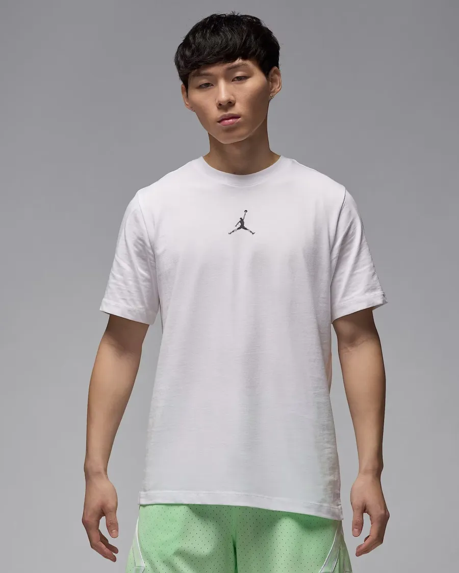 Футболка Nike Air Jordan Sport Dri-FIT HJ2397-100