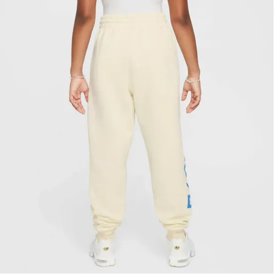 Костюм Nike Sportswear Club Fleece HJ3371-113_HJ3374-113