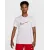 Футболка Nike Dri-FIT Running HJ3658-100