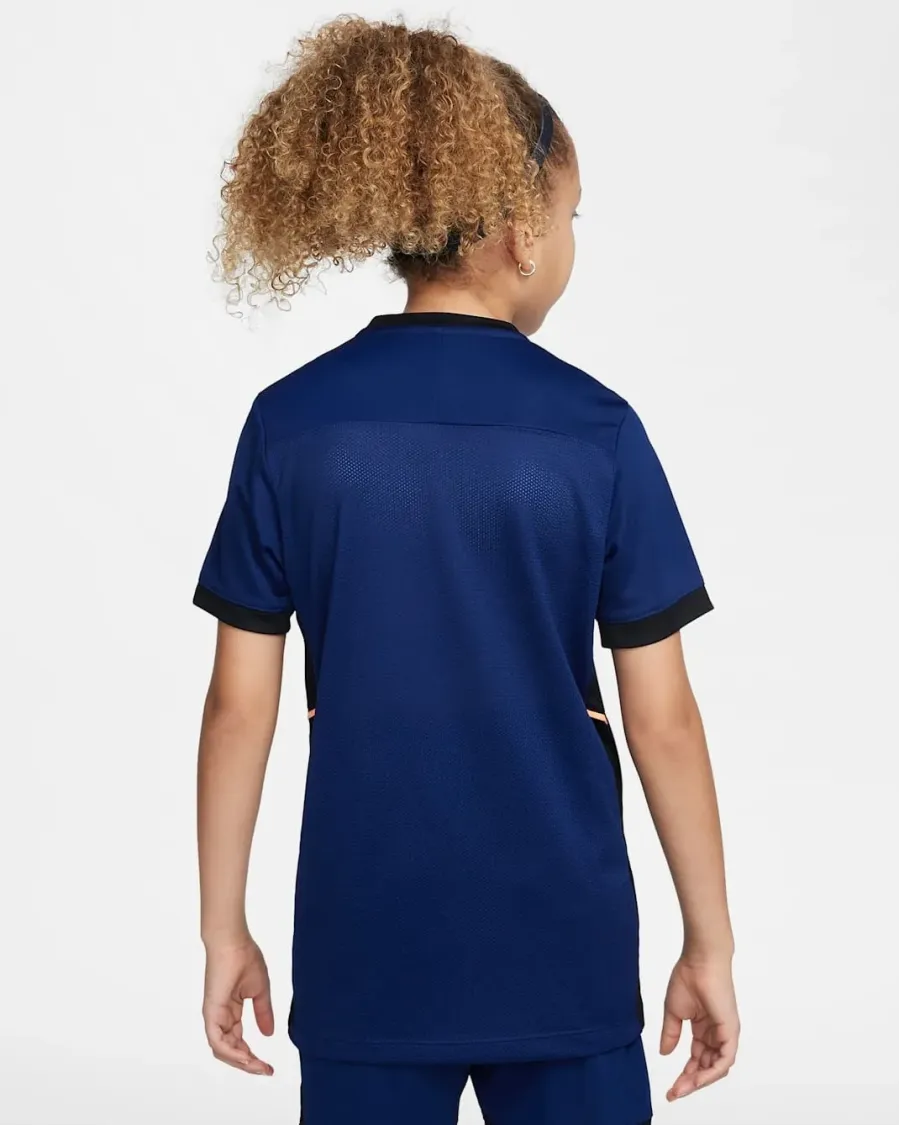 Футболка Nike Academy Dri-FIT HJ3716-492