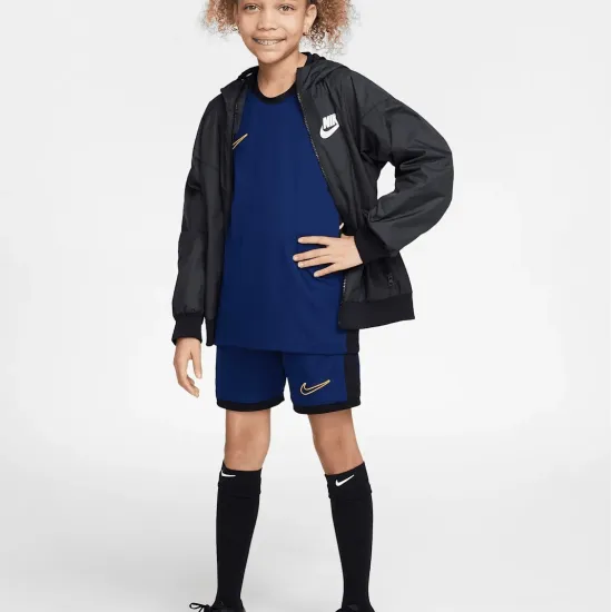 Футболка Nike Academy Dri-FIT HJ3716-492