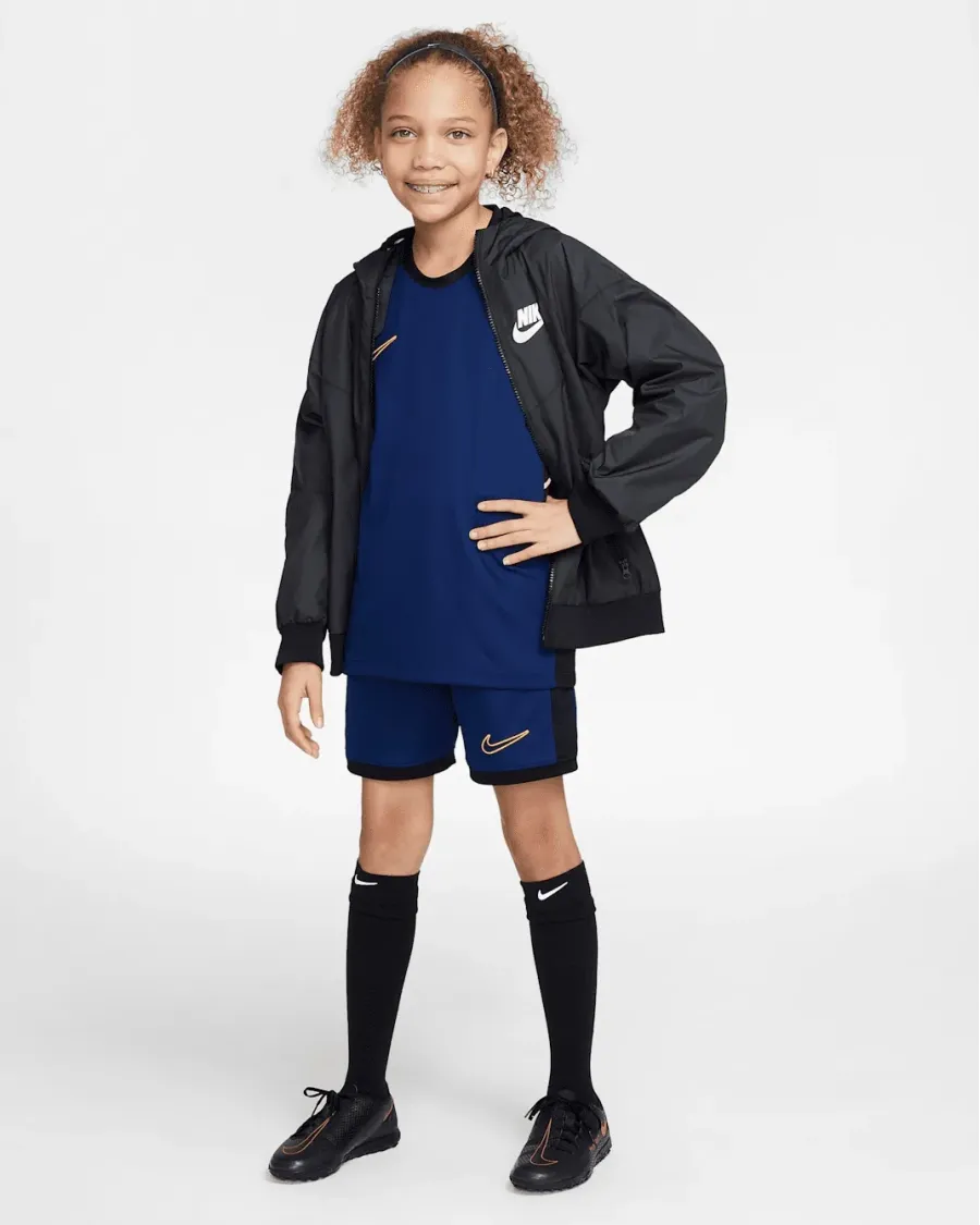 Футболка Nike Academy Dri-FIT HJ3716-492