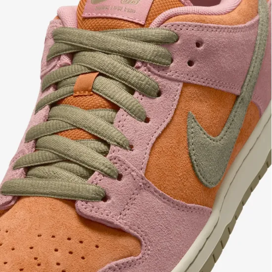 Кросівки Nike SB Dunk Low Pro HJ4135-600