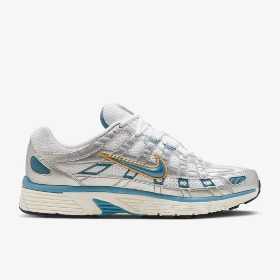 Кросівки Nike P-6000 HJ7246-100