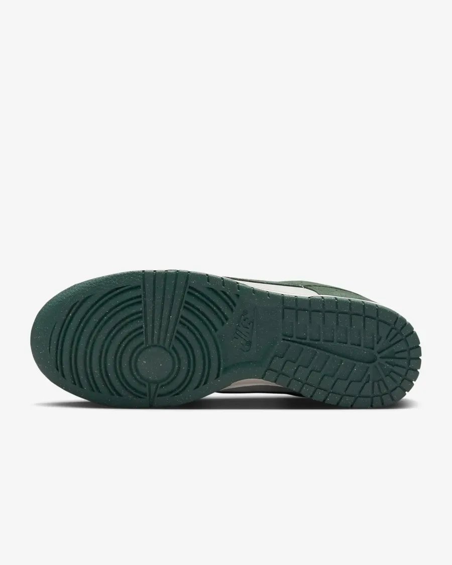 Кросівки Nike Dunk Low Next Nature HJ7673-002