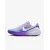 Кросівки Nike Revolution 8 HJ8485-500