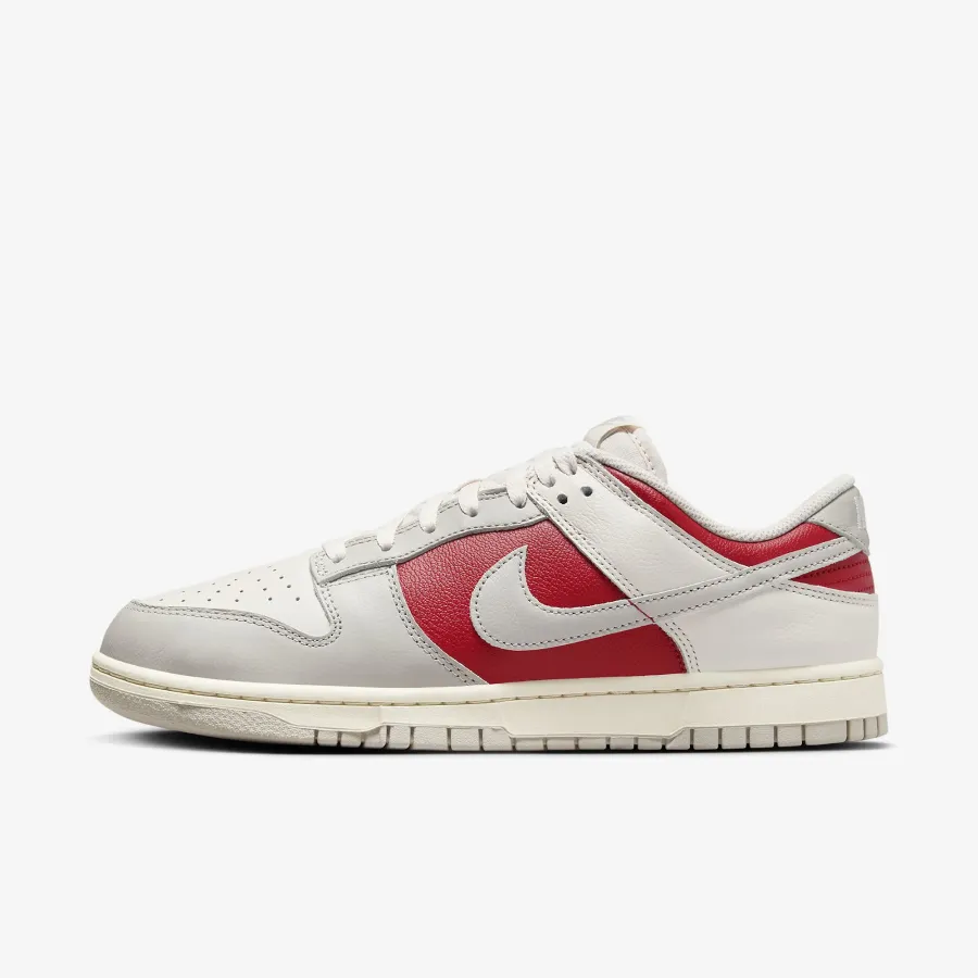 Кросівки Nike Dunk Low Retro HJ9093-030