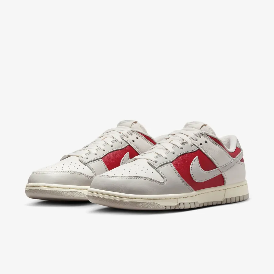Кросівки Nike Dunk Low Retro HJ9093-030