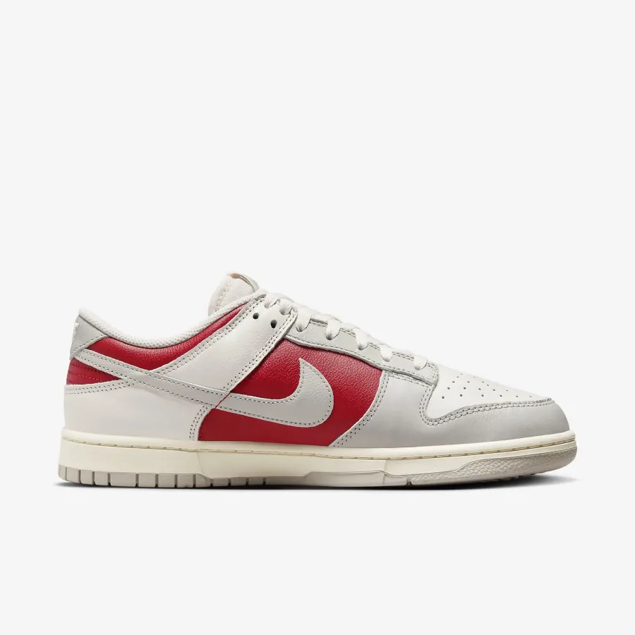 Кросівки Nike Dunk Low Retro HJ9093-030