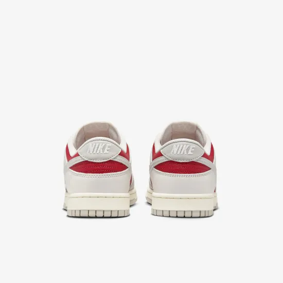 Кросівки Nike Dunk Low Retro HJ9093-030