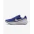 Кросівки Nike Revolution 8 HJ9198-401