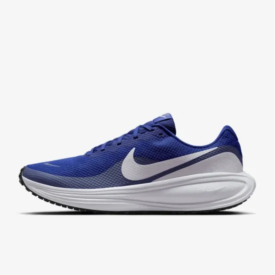 Кросівки Nike Revolution 8 HJ9198-401