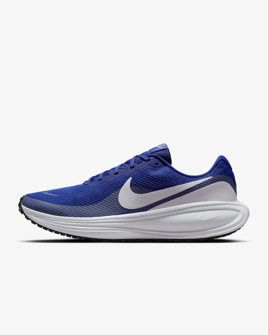 Кросівки Nike Revolution 8 HJ9198-401