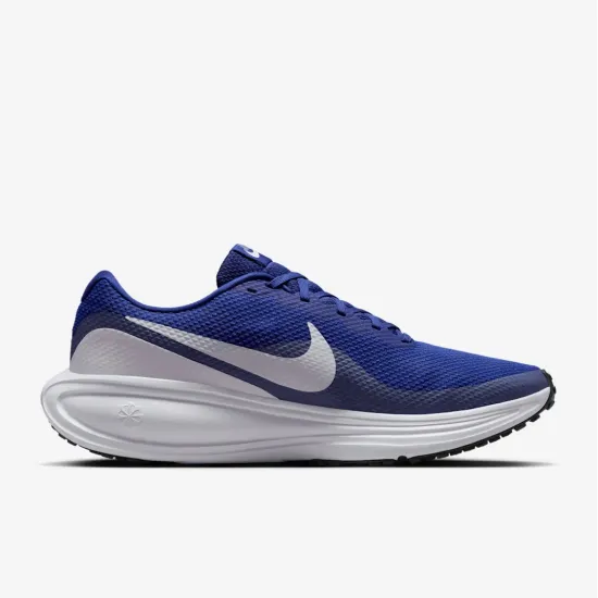 Кросівки Nike Revolution 8 HJ9198-401