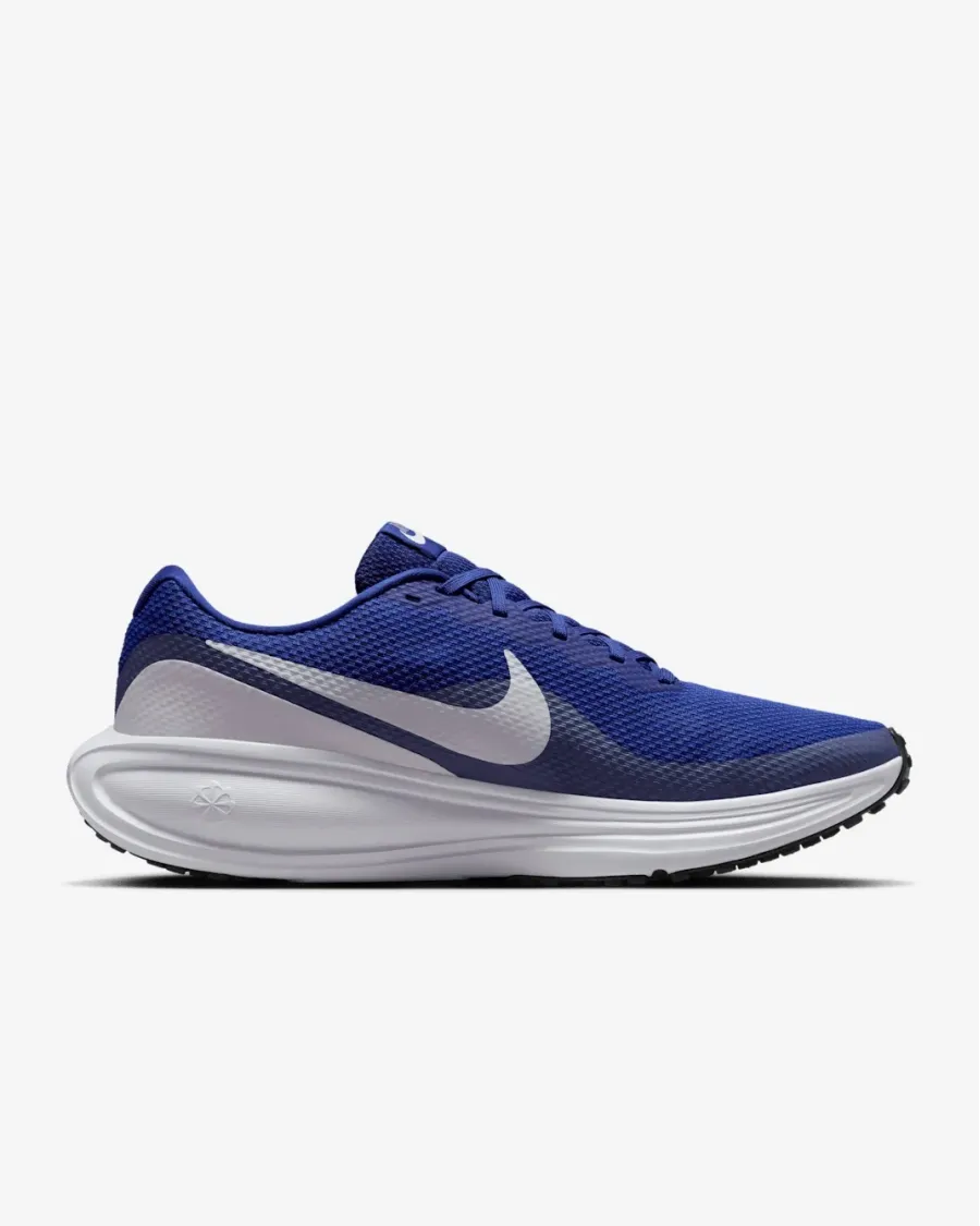 Кросівки Nike Revolution 8 HJ9198-401