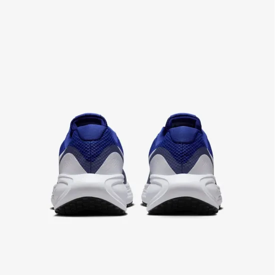 Кросівки Nike Revolution 8 HJ9198-401