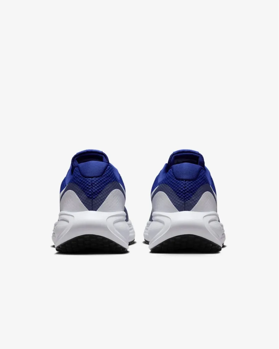 Кросівки Nike Revolution 8 HJ9198-401