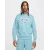 Світшот Nike Air Fleece Crew-Neck HM0177-464