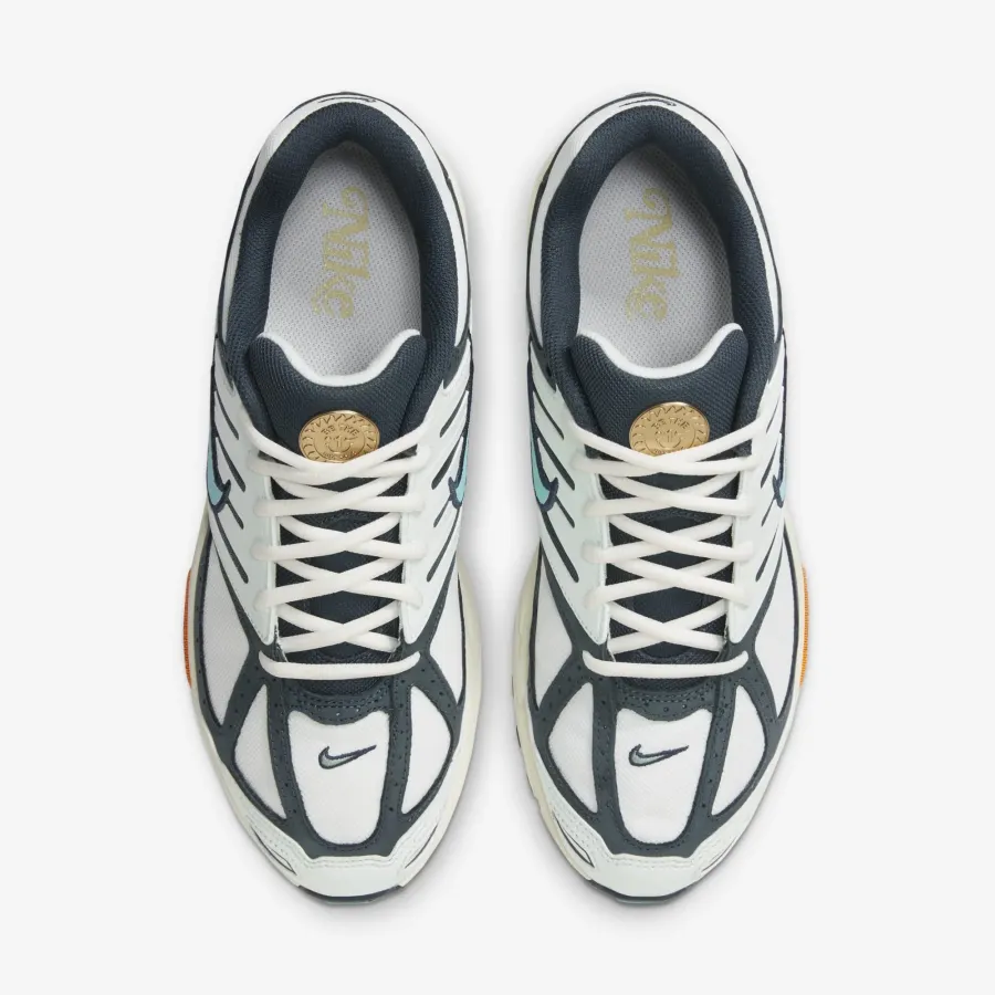 Кросівки Nike Pegasus 2K5 HM3727-131