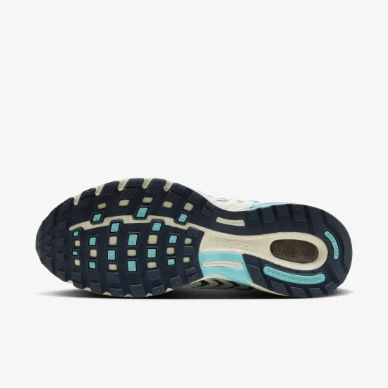 Кросівки Nike Pegasus 2K5 HM3727-131