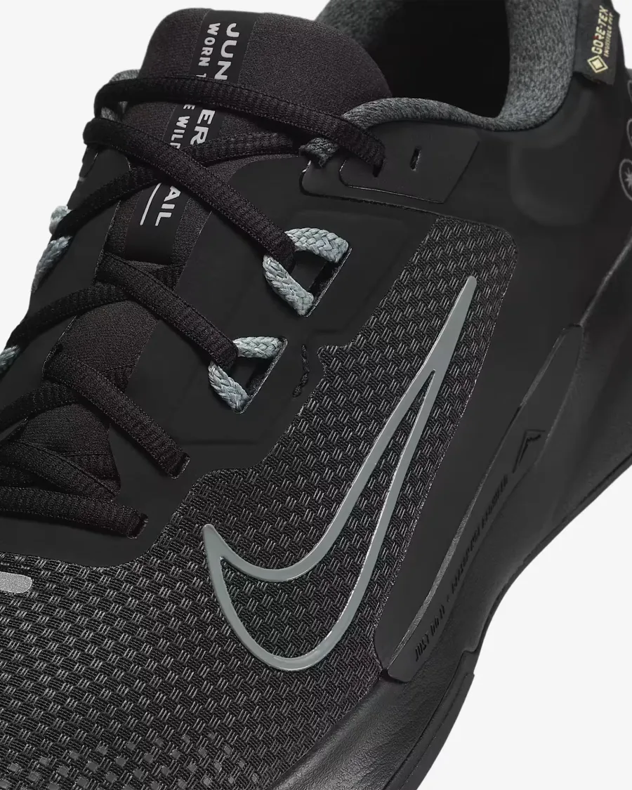 Кросівки Nike Juniper Trail 2 Gore-Tex HM9734-001