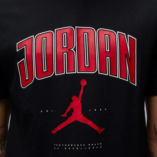 Футболка Nike Air Jordan City 88 HQ0009-010
