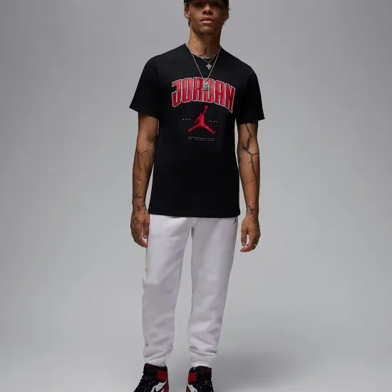 Футболка Nike Air Jordan City 88 HQ0009-010