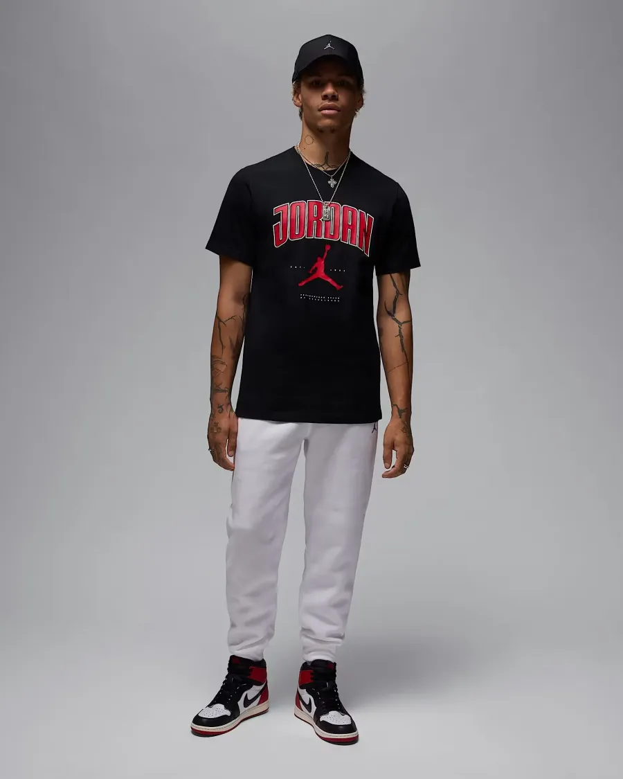 Футболка Nike Air Jordan City 88 HQ0009-010