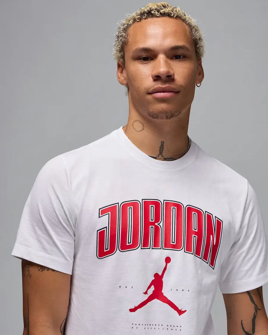 Футболка Nike Air Jordan City 88 HQ0009-100