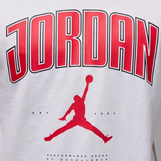 Футболка Nike Air Jordan City 88 HQ0009-100