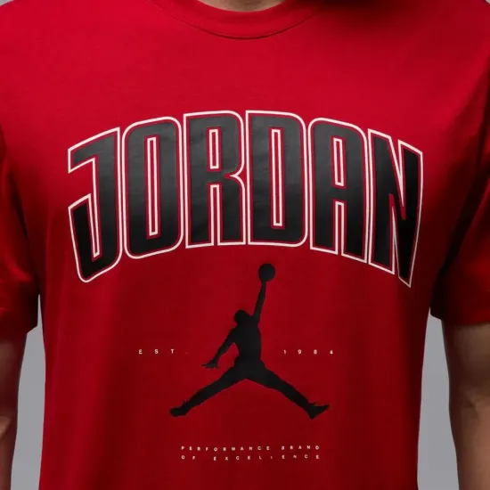 Футболка Nike Air Jordan City 88 HQ0009-687