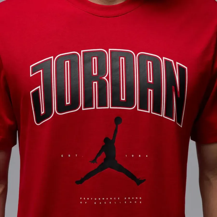 Футболка Nike Air Jordan City 88 HQ0009-687