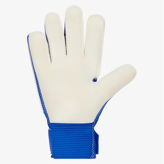 Воротарські рукавиці Nike Match Goalkeeper HQ0258-458