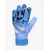 Воротарські рукавиці Nike Match Goalkeeper HQ0258-494