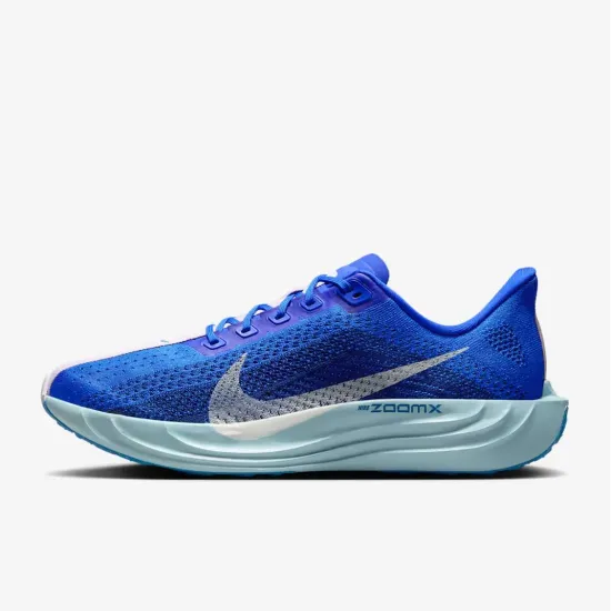 Кросівки Nike Pegasus Plus Premium HQ1719-400