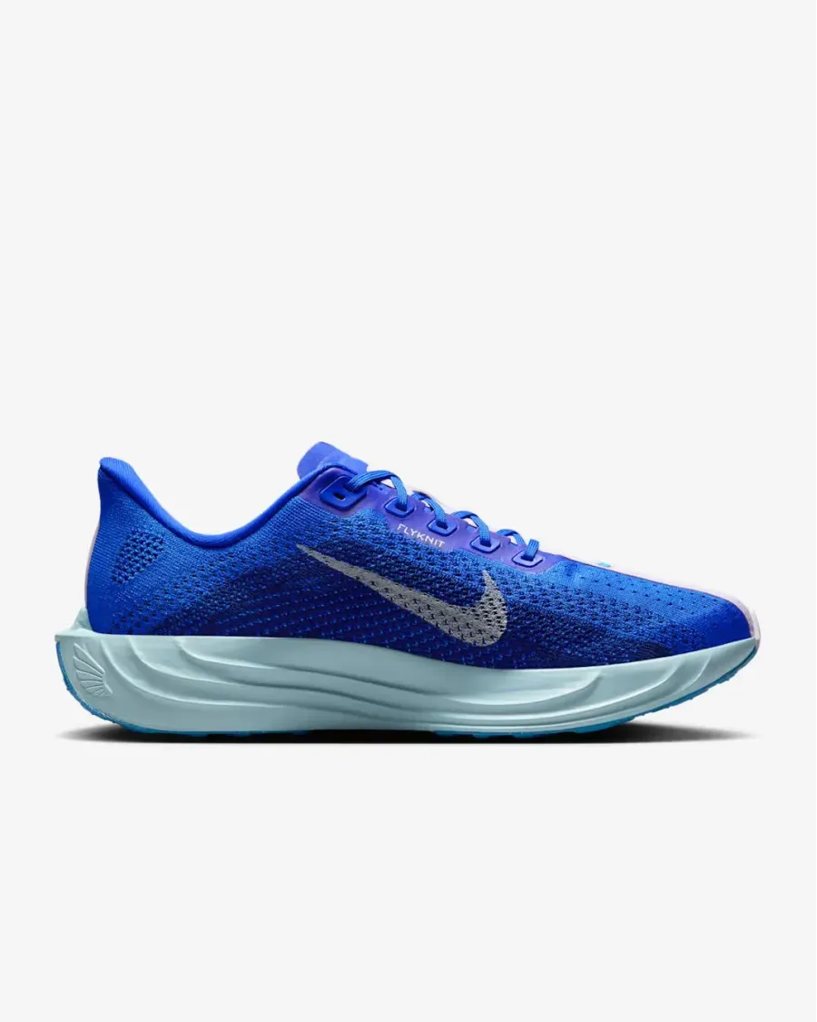 Кросівки Nike Pegasus Plus Premium HQ1719-400