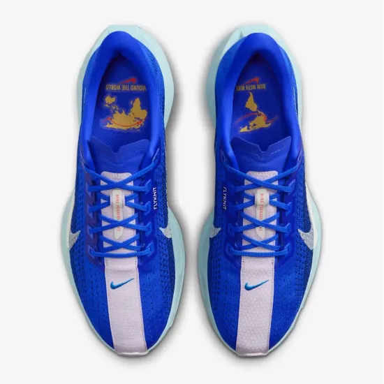 Кросівки Nike Pegasus Plus Premium HQ1719-400