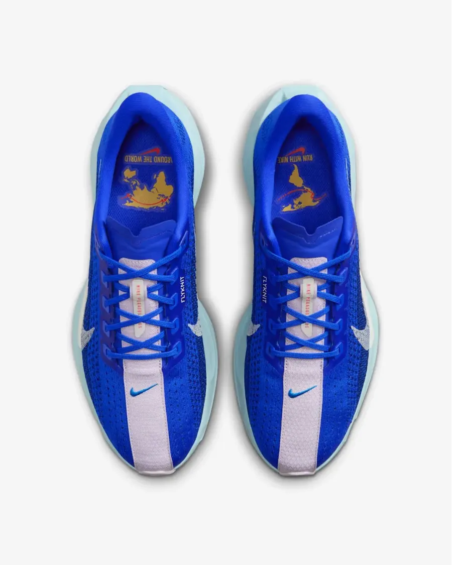Кросівки Nike Pegasus Plus Premium HQ1719-400