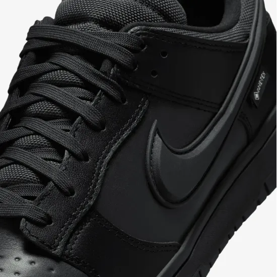 Кросівки Nike Dunk Low Gore‑Tex HQ2053-001