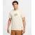 Футболка Nike Sportswear Club Crew HQ2434-113