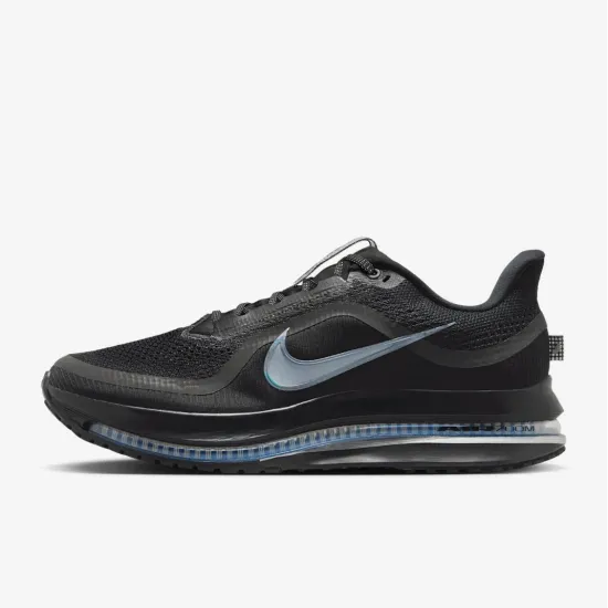 Кросівки Nike Pegasus Premium HQ2592-005