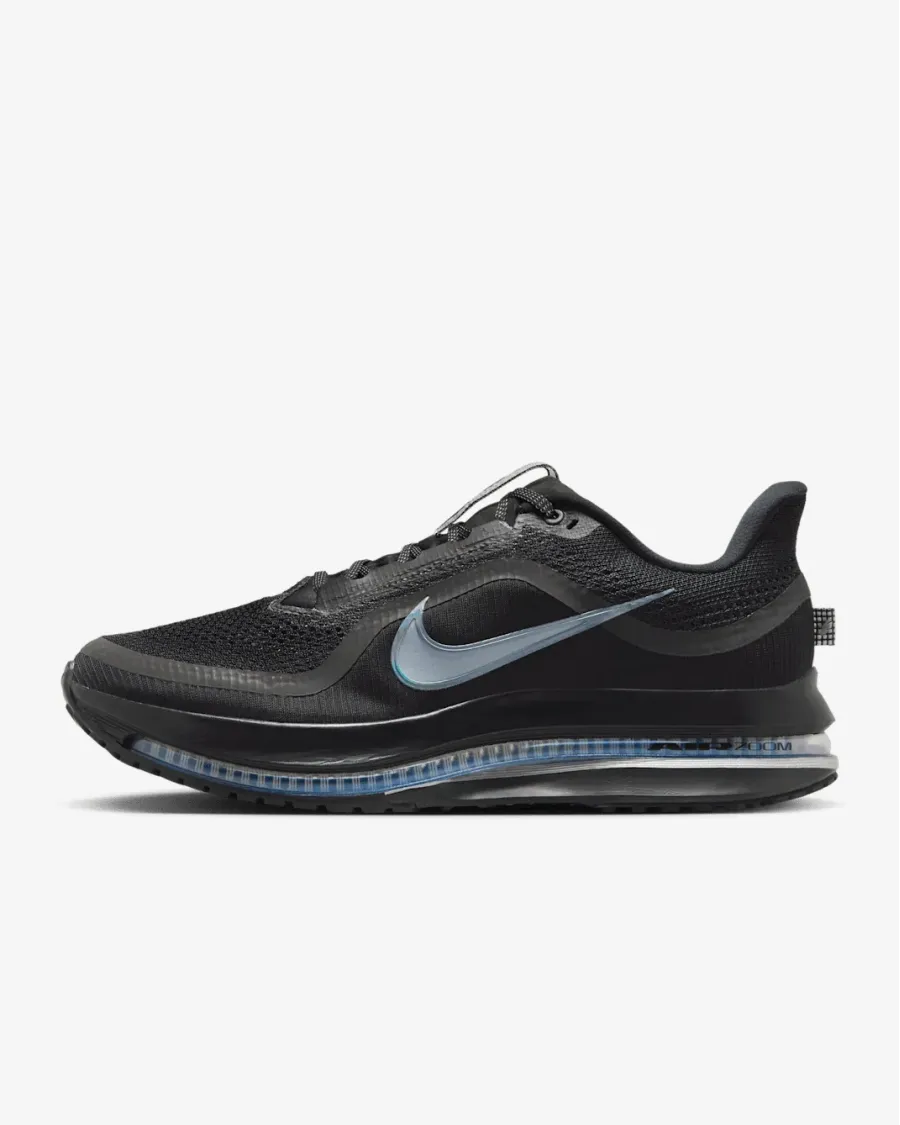 Кросівки Nike Pegasus Premium HQ2592-005