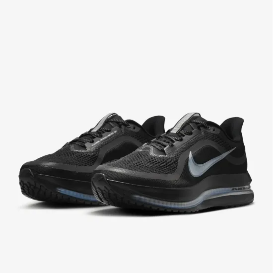 Кросівки Nike Pegasus Premium HQ2592-005