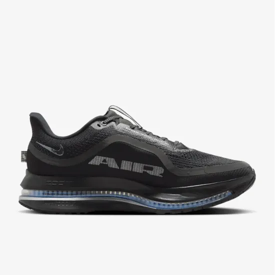 Кросівки Nike Pegasus Premium HQ2592-005