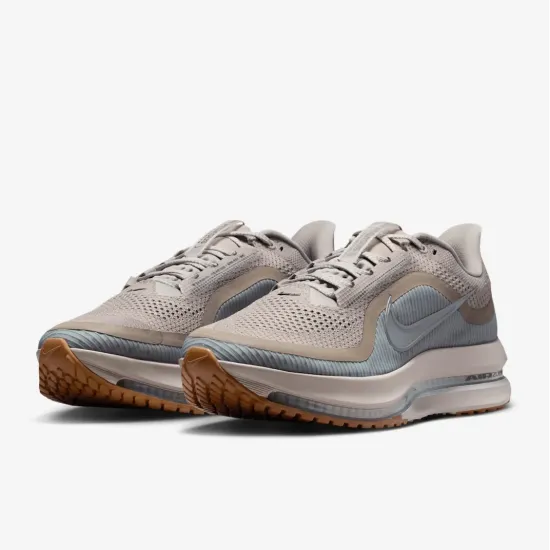 Кросівки Nike Pegasus Premium HQ2592-010