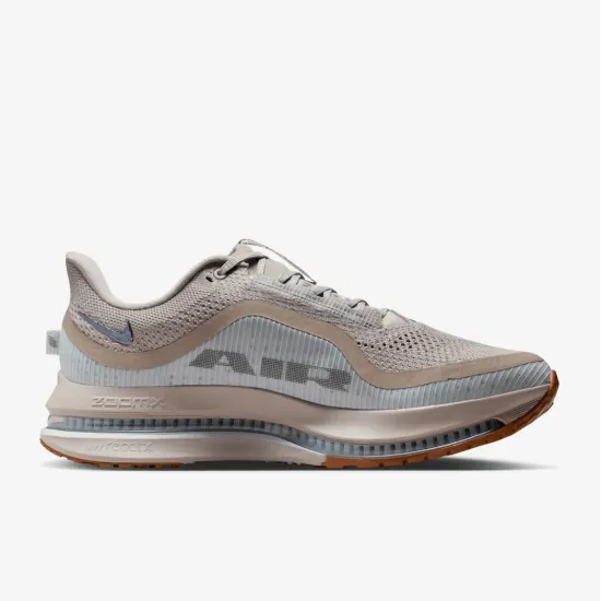 Кросівки Nike Pegasus Premium HQ2592-010