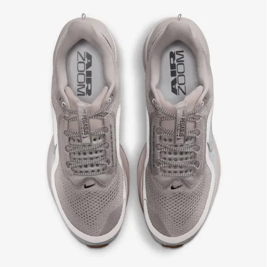 Кросівки Nike Pegasus Premium HQ2592-010