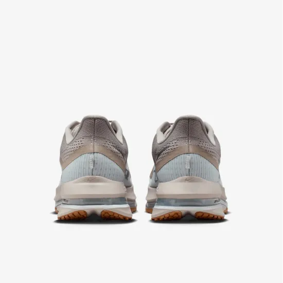 Кросівки Nike Pegasus Premium HQ2592-010